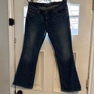 American Eagle Outfitters Dark Blue Flare Jeans